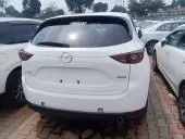 car Back