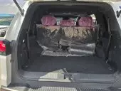 trunk