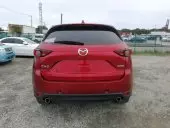 car Back