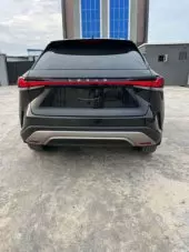 back