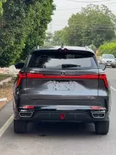 car Back