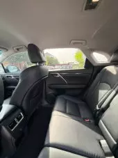interiorBack