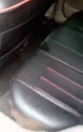 interiorBack