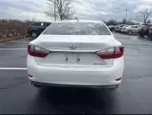 car Back