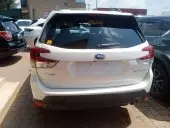 car Back