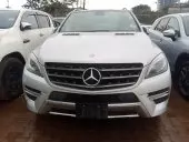 car Front