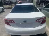 back