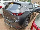 car Right Back