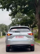 car Back
