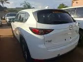 car Back