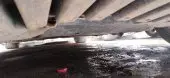 Transmission Oil Leakage Damage 2
