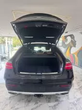 trunk