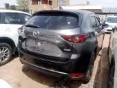 car Left Back