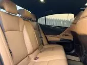 interiorBack