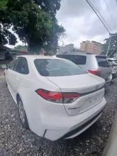 back