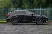 car Back