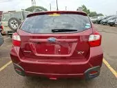 car Back
