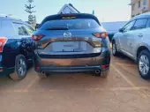 back