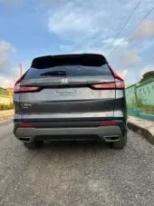 back