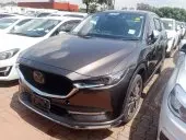 car Front