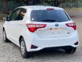 car Right Back