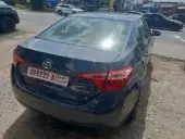 car Back