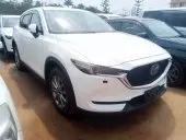 car Left Front