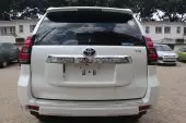 car Back