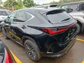 car Left Back