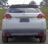 back