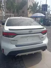 back