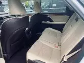 interiorBack