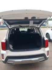 trunk