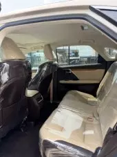 interiorBack