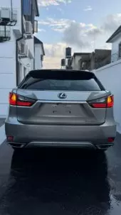 back