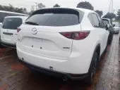 car Right Back
