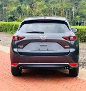 back