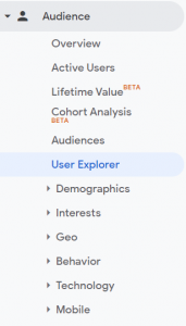 Audience Section, Google Analytics 