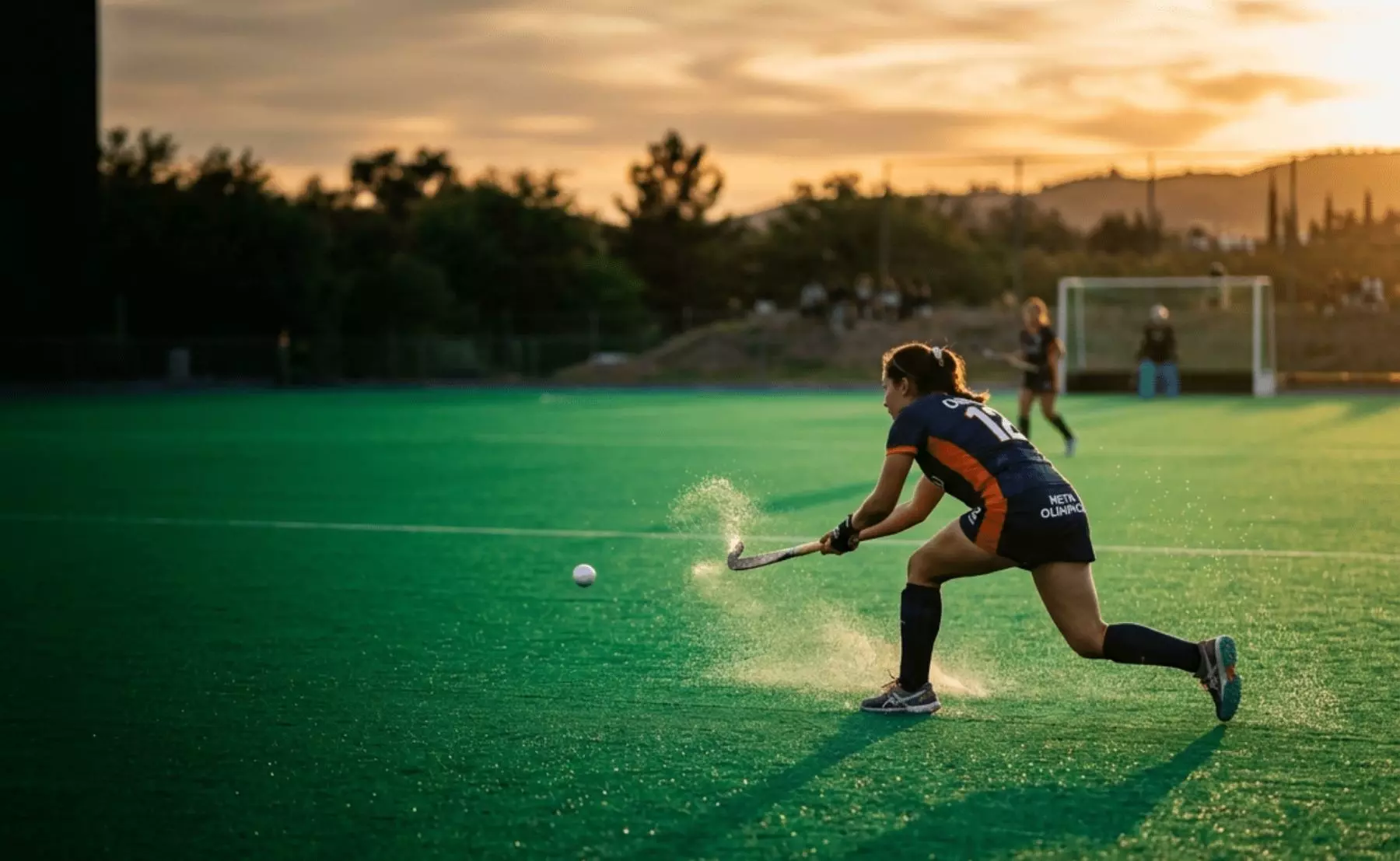 Hockey sobre Pasto