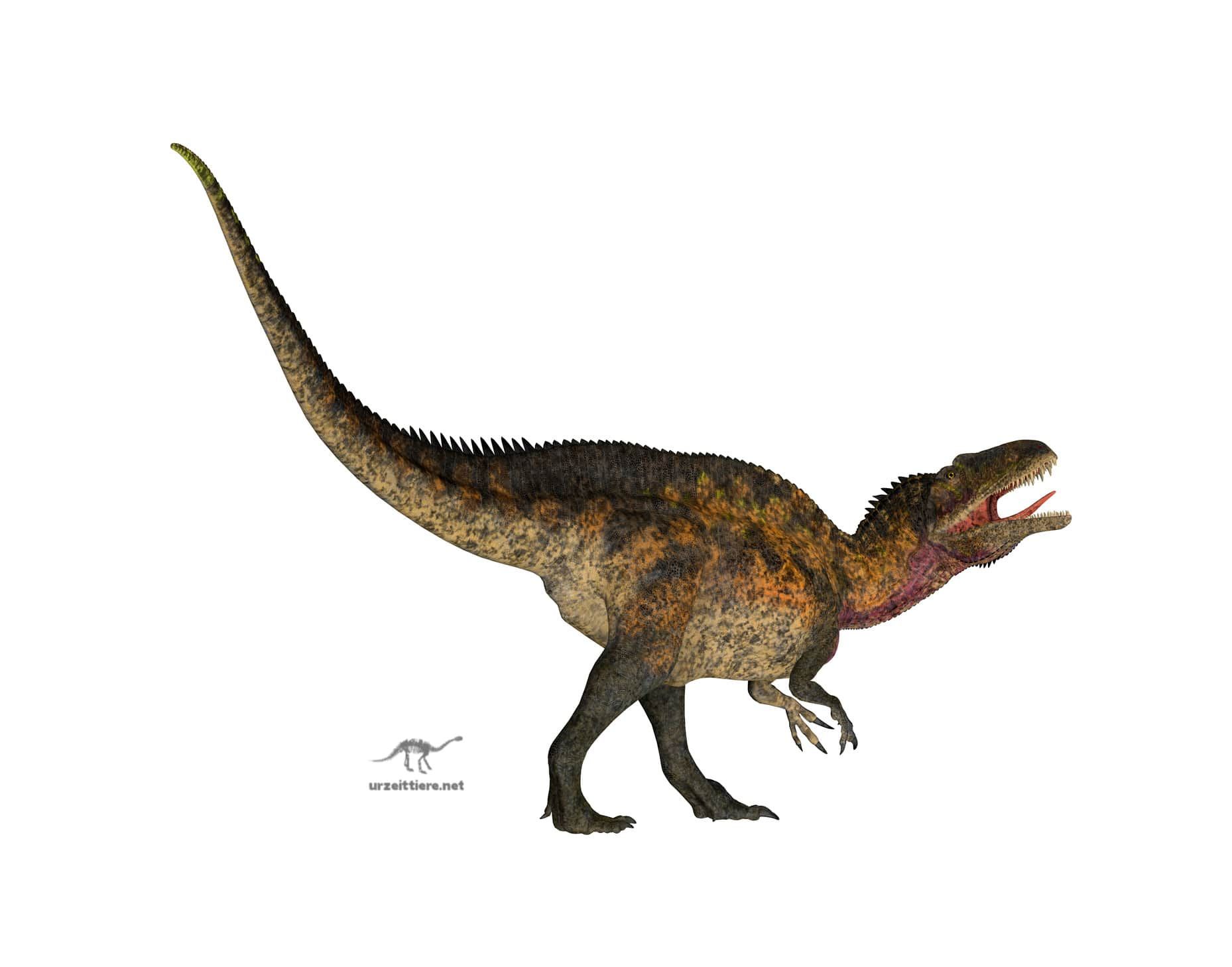 Acrocanthosaurus