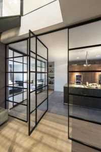 internal glass pivot door with slim steel frames