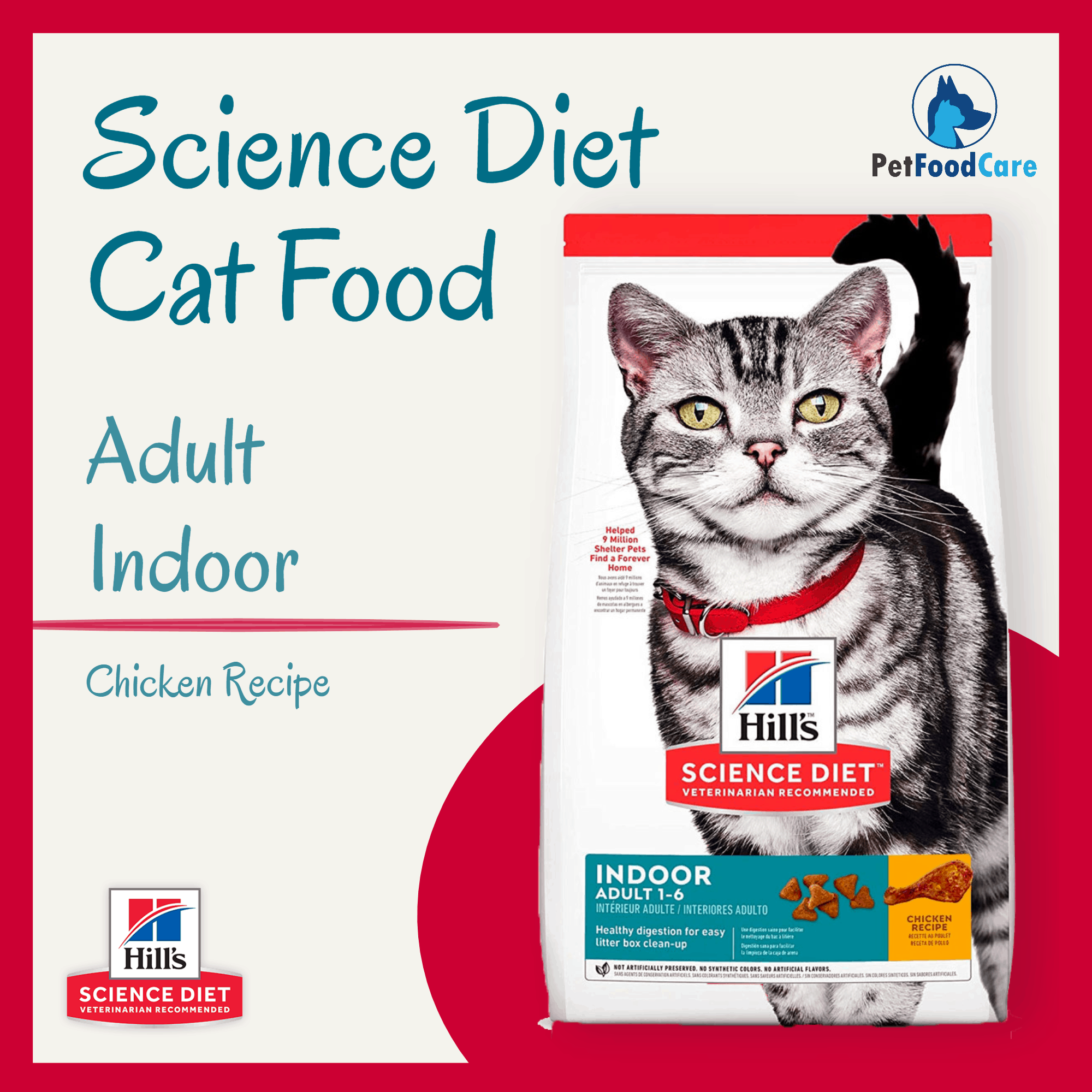 indoor cat diet