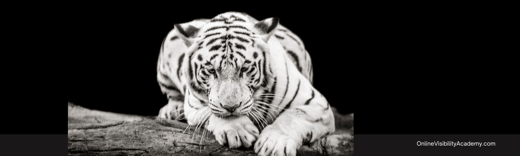 Blogging FAQs Branding my blog means I can’t do anything with it