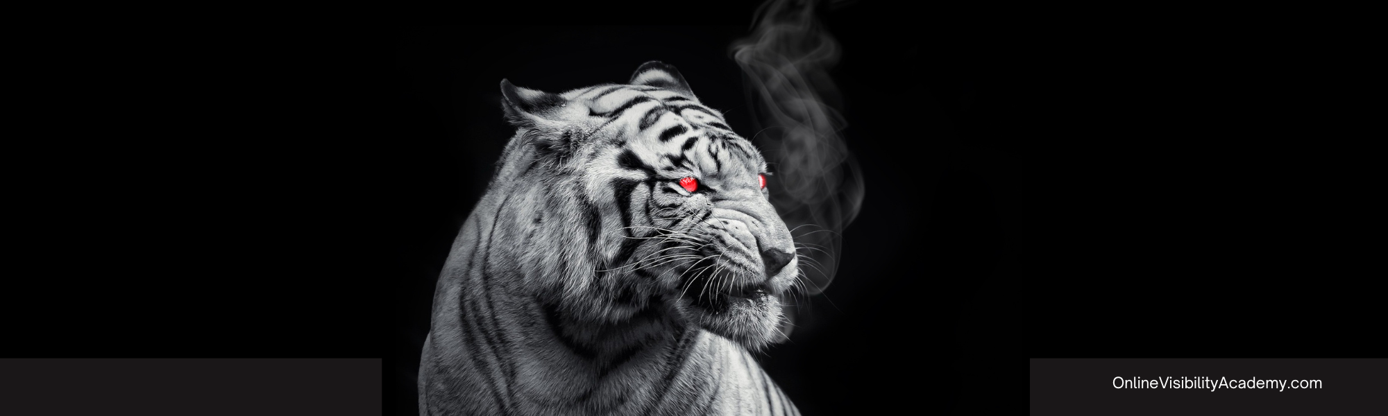 Blogging FAQS: How will I make money if I give away advice?