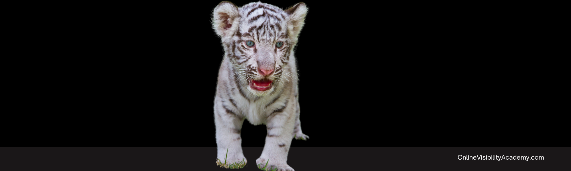 Blogging FAQS: I can’t guest post anywhere