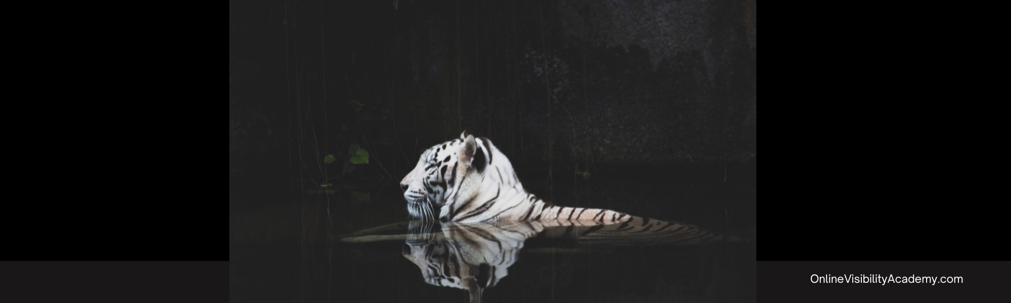 Blogging FAQS: I Can’t Write