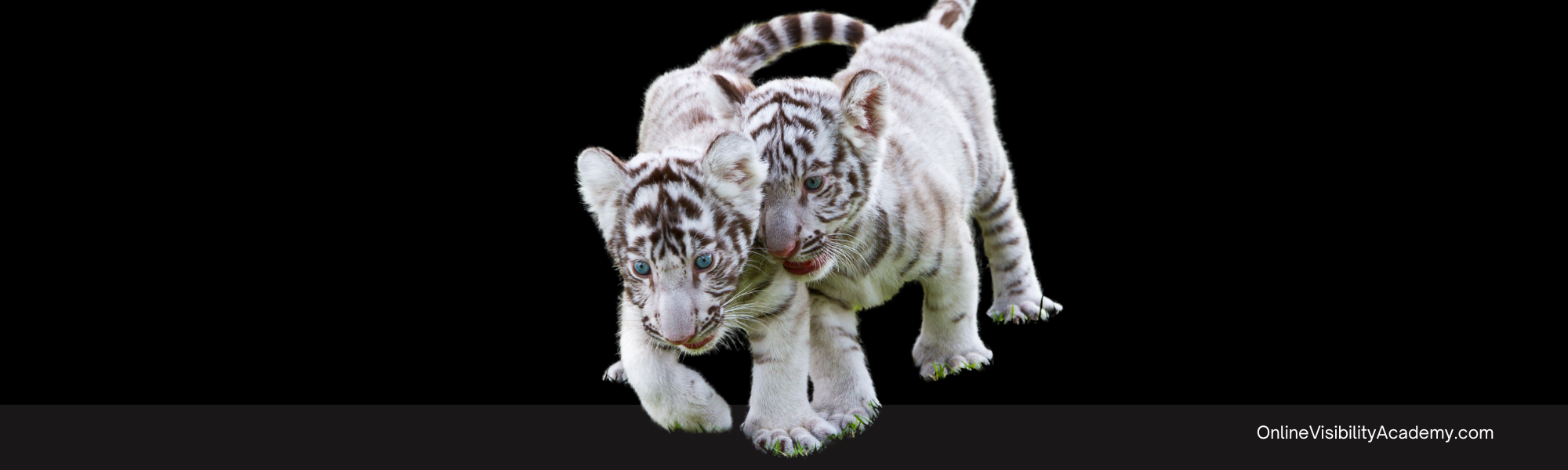 Blogging FAQS: People will leave mean comments on my posts