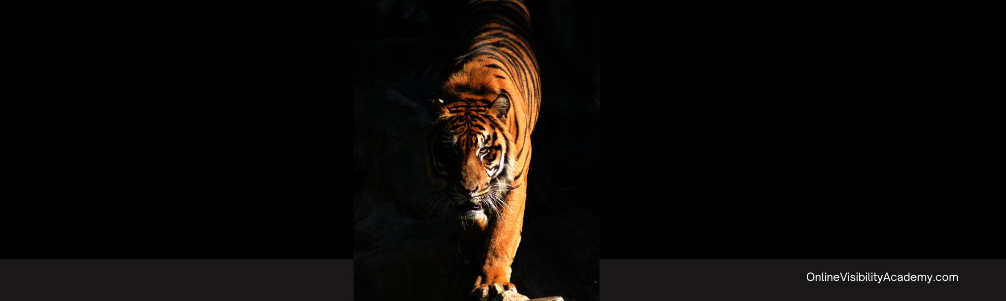 Blogging Ideas Innovative Posting When You Draw a Blank