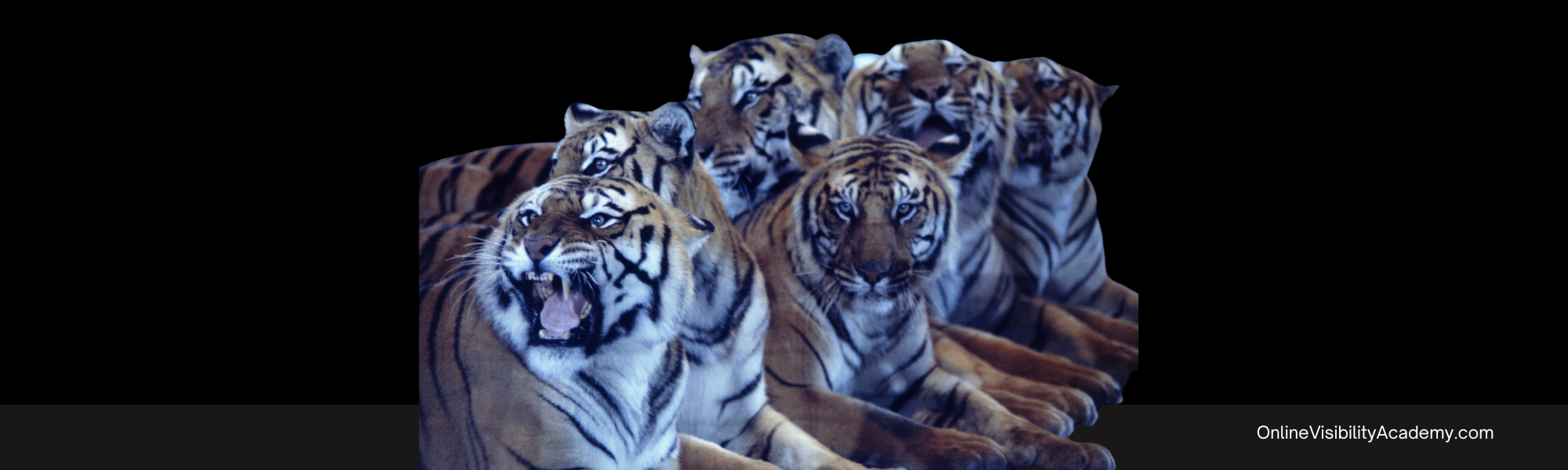 Blogging Ideas Posts About Fears