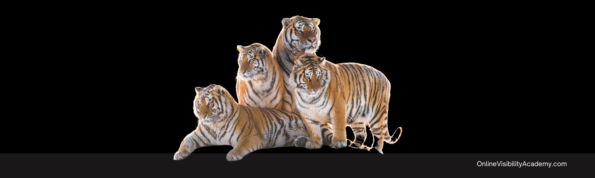 Blogging Ideas your first customer